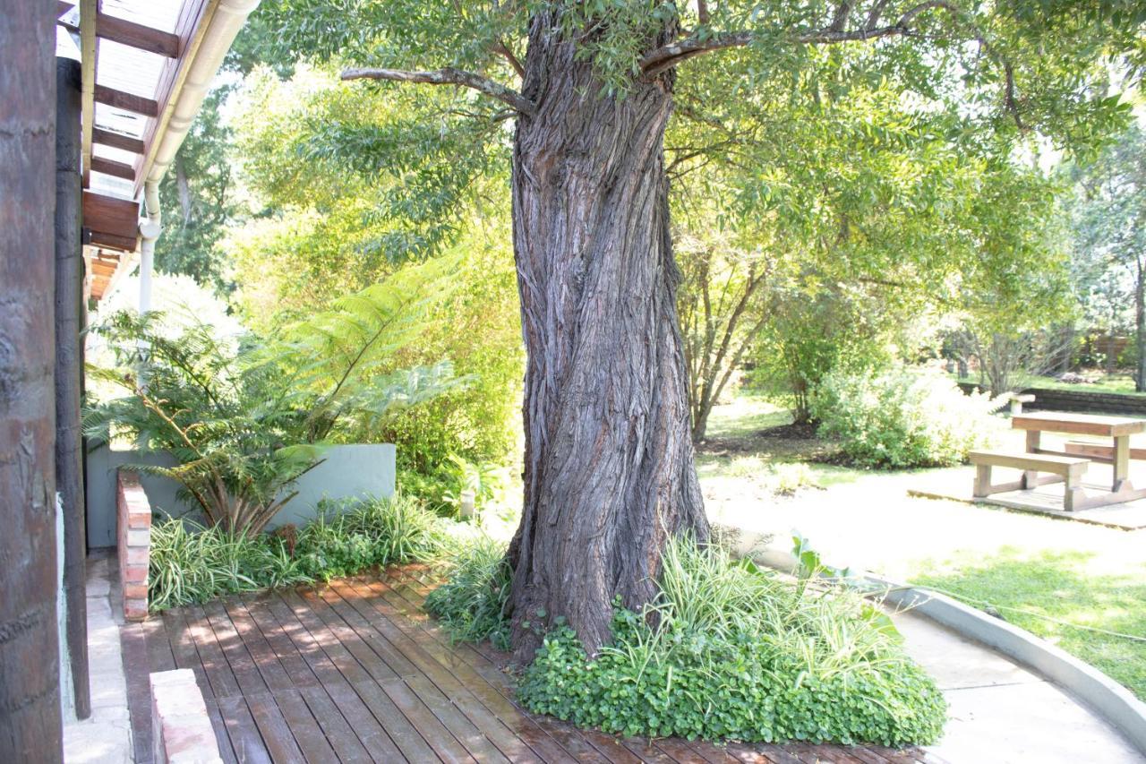 Andelomi Nature'S Rest Stormsrivier Dış mekan fotoğraf